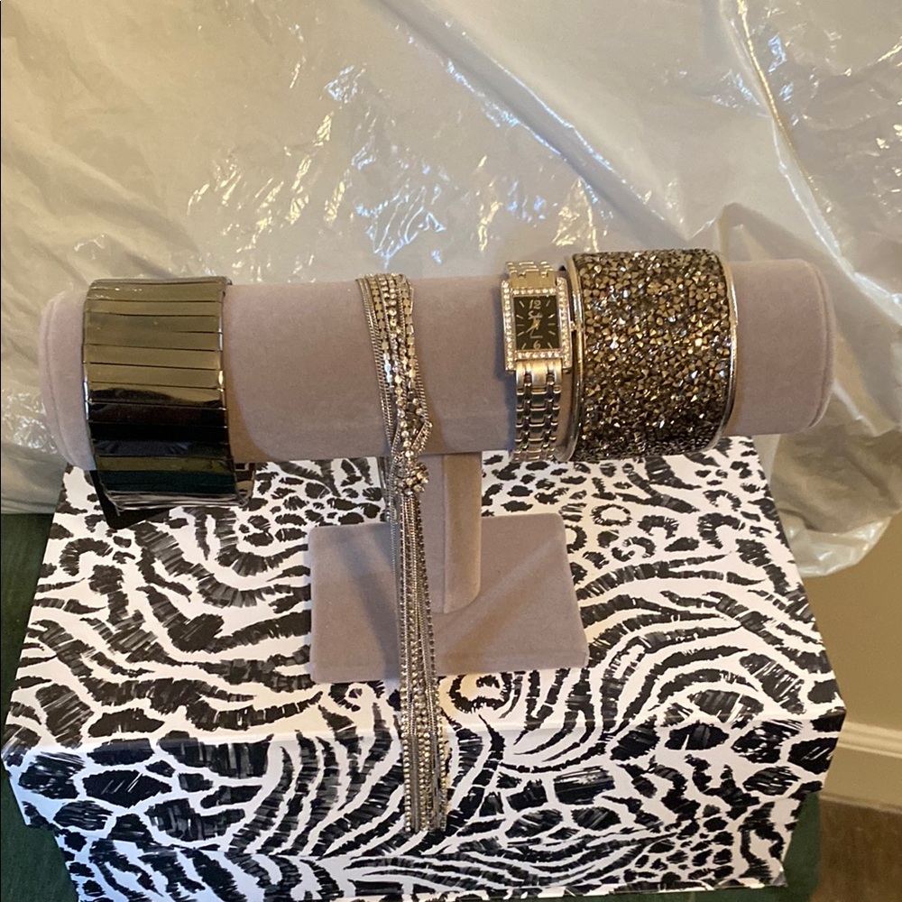 Silver and Black Women's jewelry set